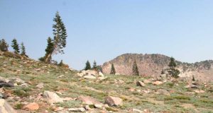 blog-Grounding_your_Self