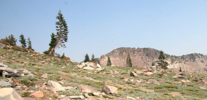 blog-Grounding_your_Self