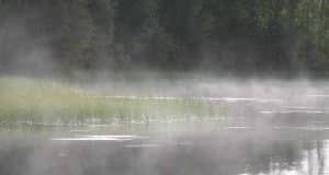 blog the one truth spiritual awakening