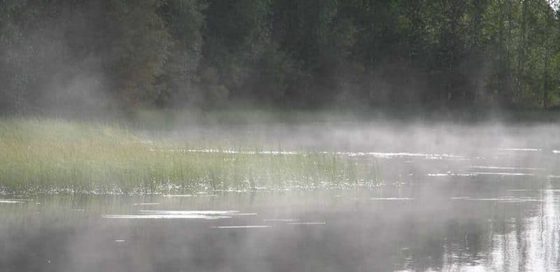 blog the one truth spiritual awakening